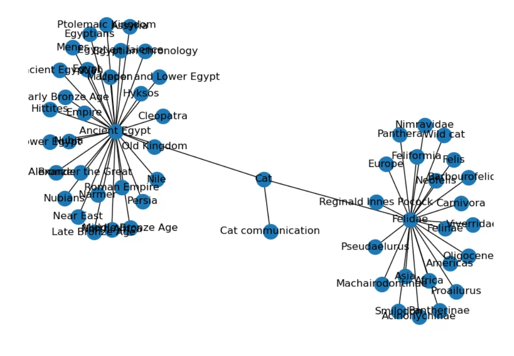 Cat network graph